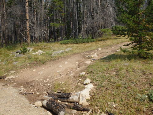 GDMBR: The unamed/unmarked Rock Trail ends at NF-175.